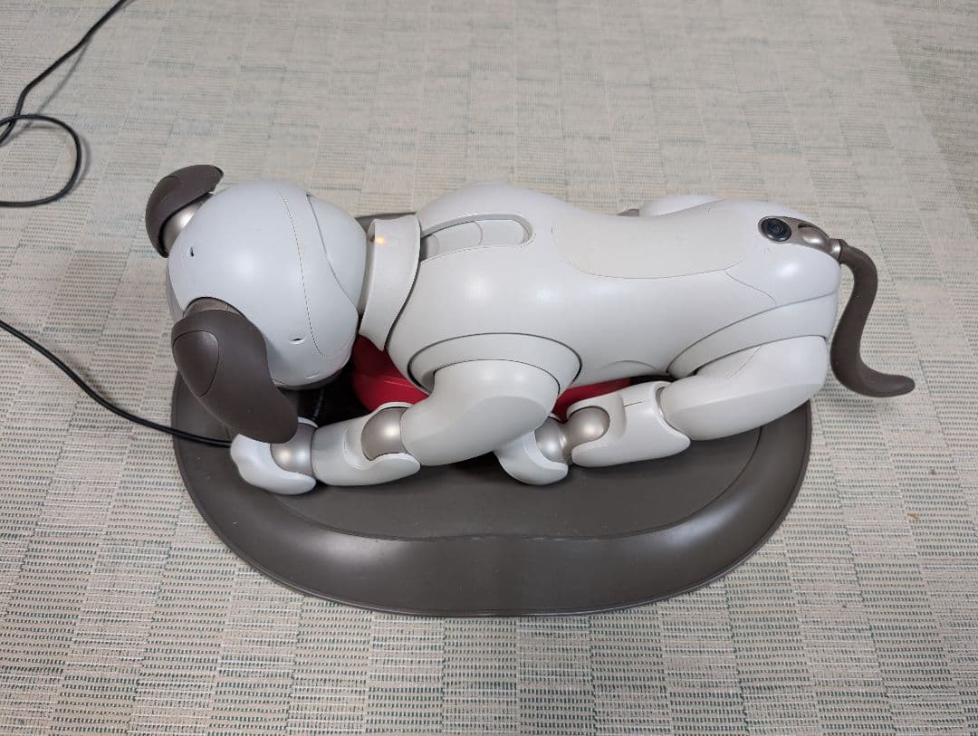 ソニー aibo アイボ ペットロボット 家電 ERS-1000 【中古】