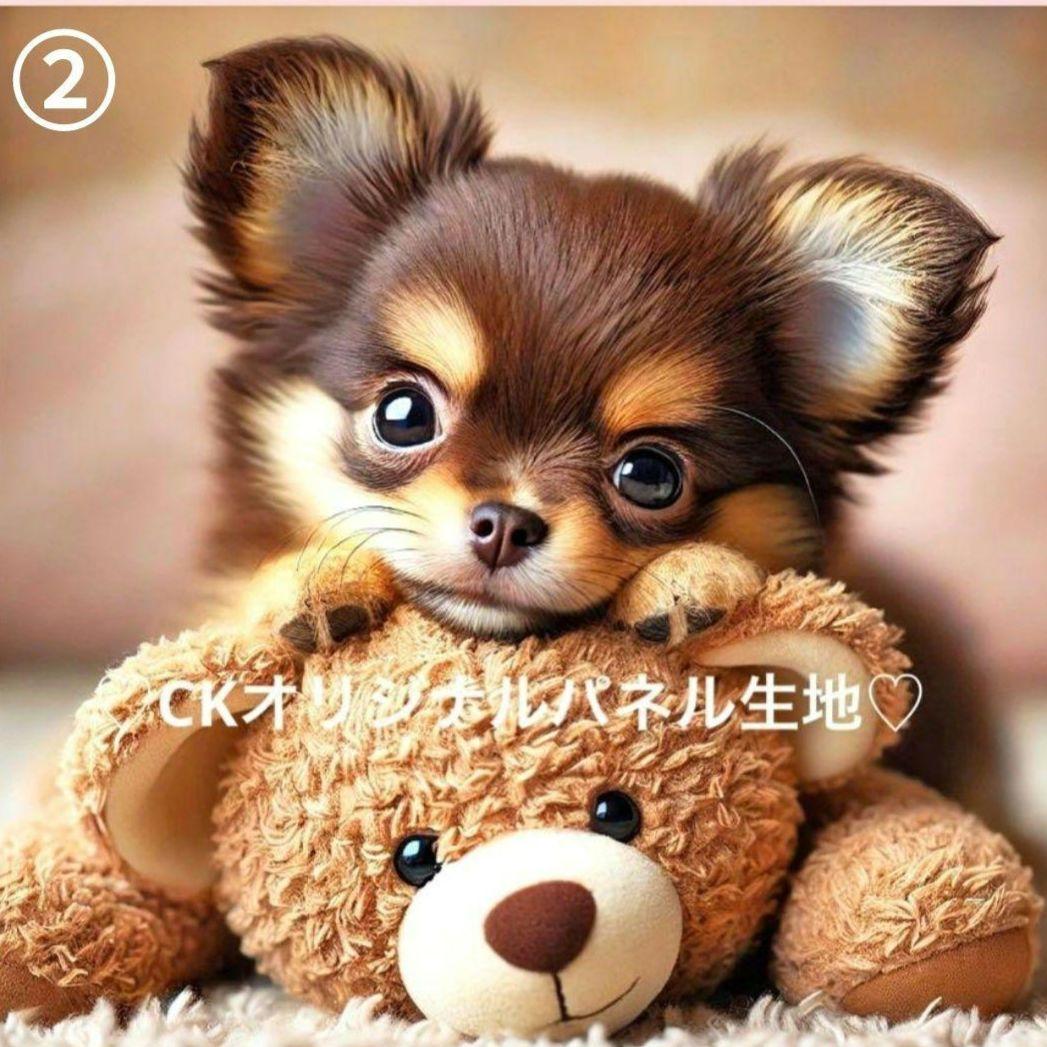 ねこ様確認用