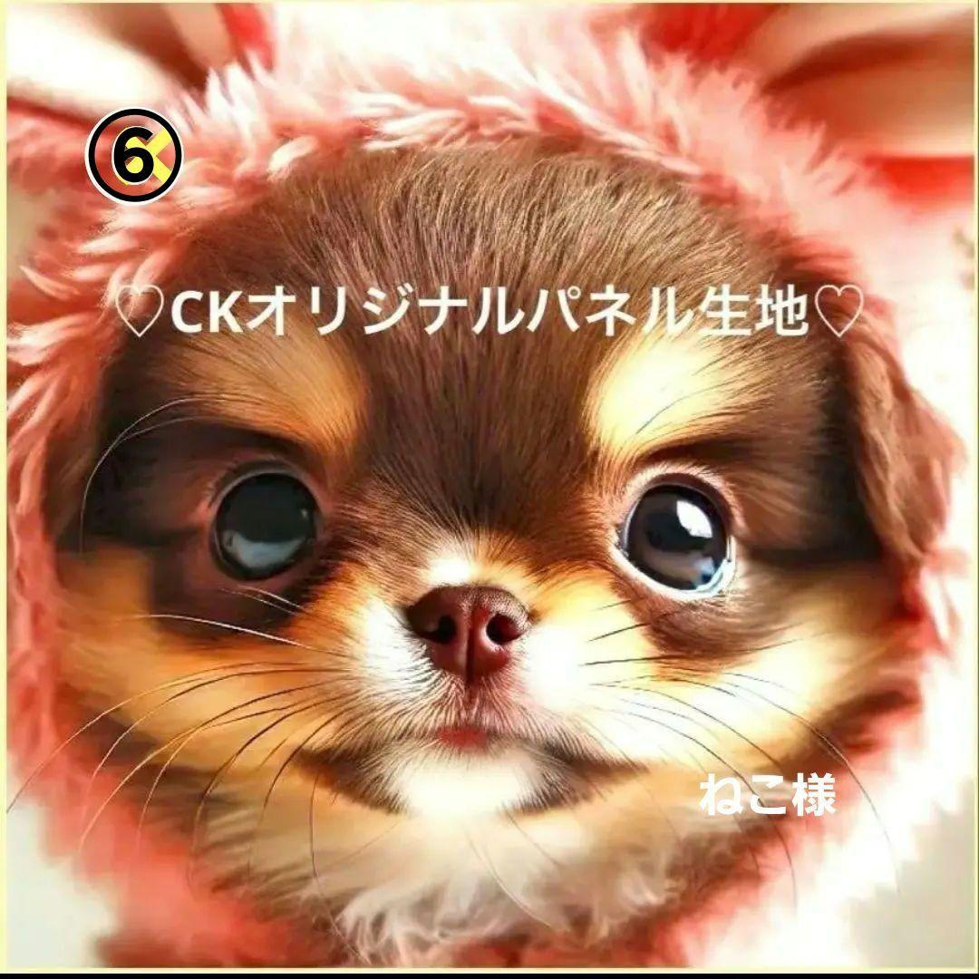 ねこ様確認用