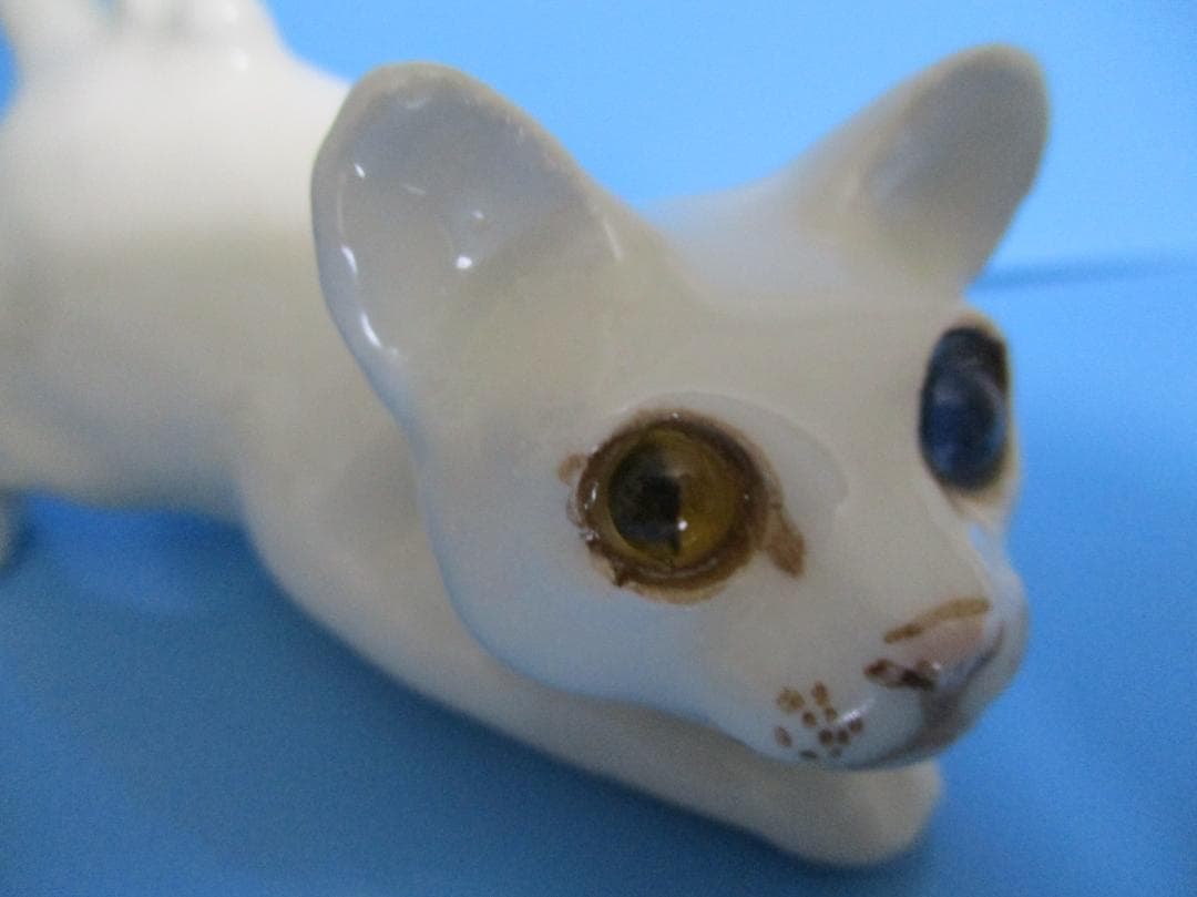 オッドアイの白猫ウィンスタンレイ ケンジントン キャット サイズ1 ZNO1