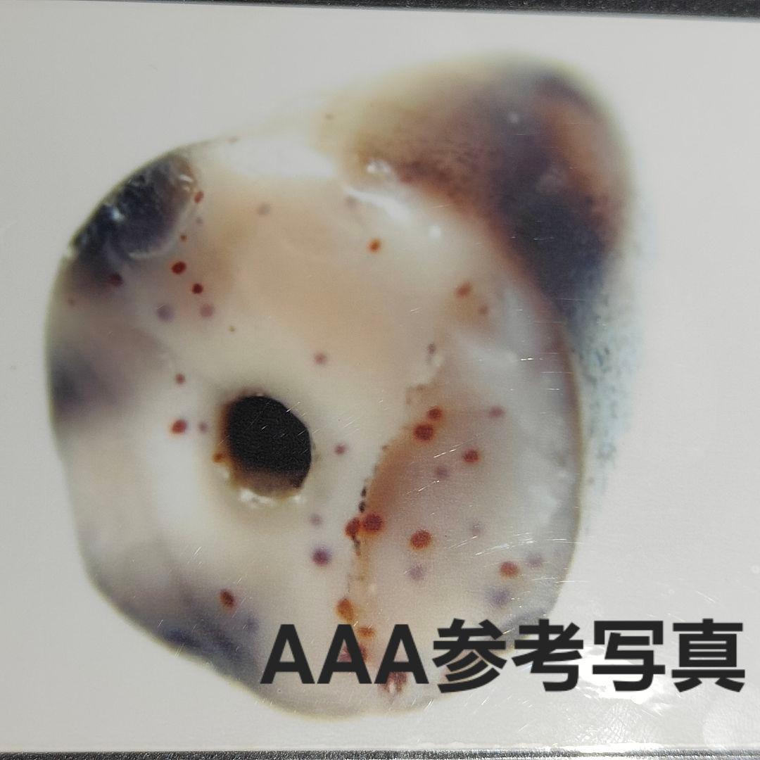 3 老礦天珠　宝瓶天珠　天珠　天然石　風水　御守り　ブレスレット　ネックレス