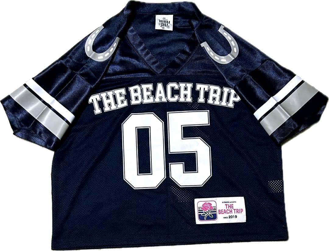 平井大　\"THE BEACH TRIP\" Number TEE tシャツ
