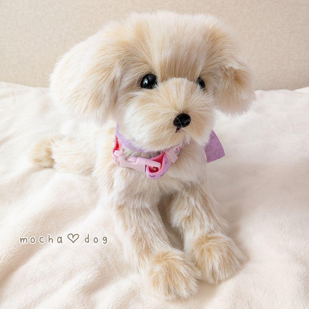 ＊mocha♡dog ＊ mixdog(S)☆ぬいぐるみわんこ 犬　ハンドメイド