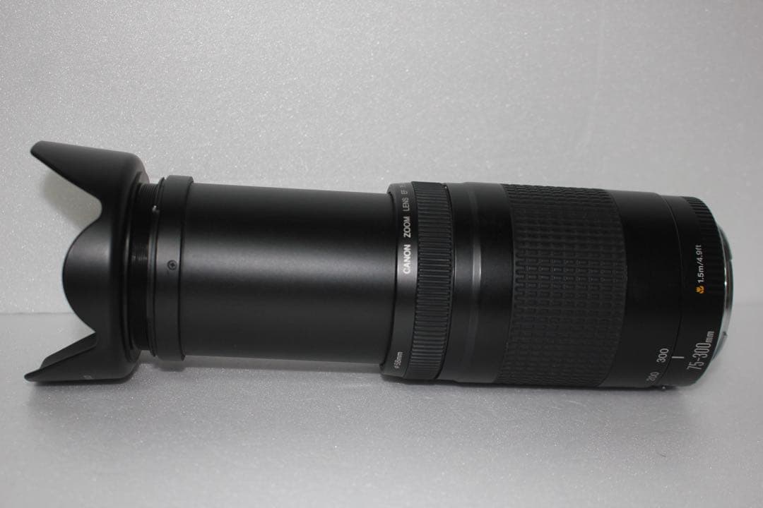 ☆デジタル一眼レフカメラ☆Canon EF75-300 F4-5.6 II☆