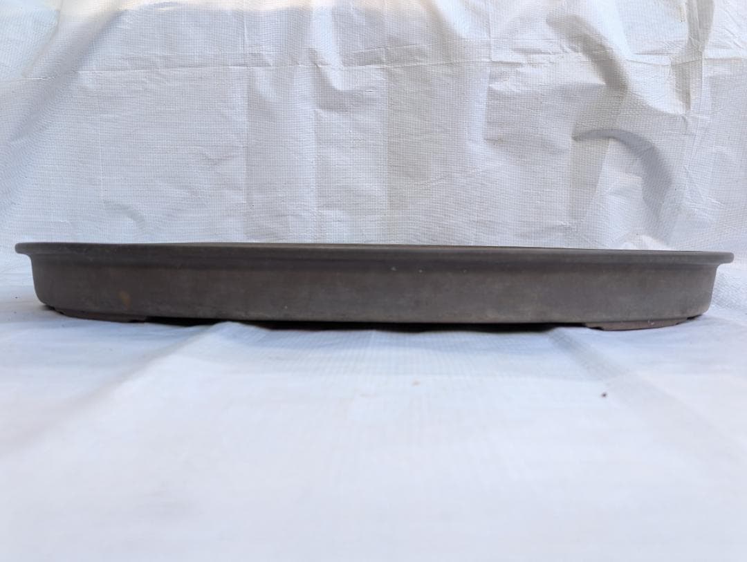 盆栽鉢 大型 浅鉢 オーバル 約69×45.5×6.5cm 無釉 灰泥鉢 鉢皿