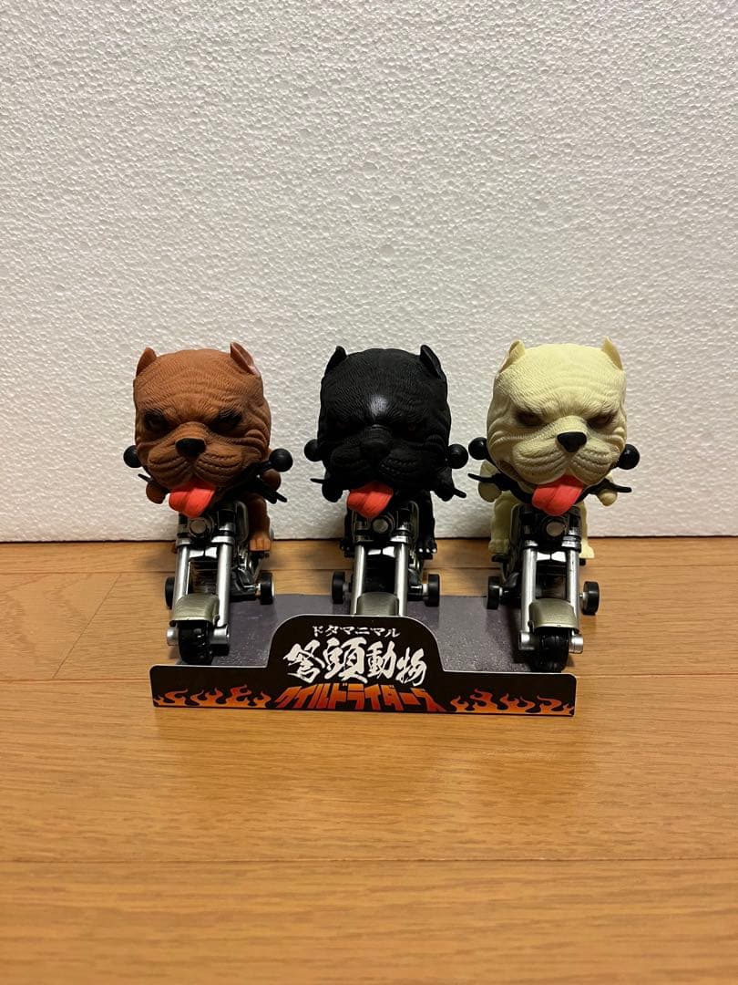 ドタマニマル　ワイルドライダーズ　25体セット