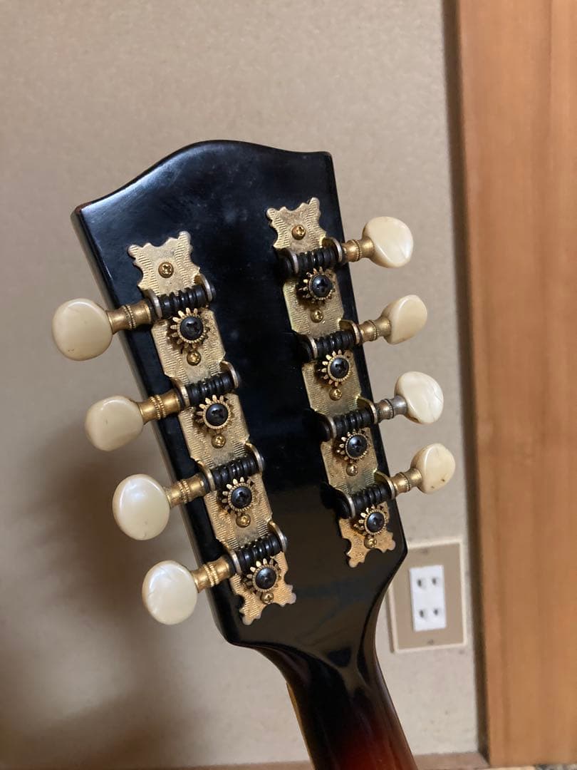 JUMBO ジャンボ JM-50 フラットマンドリン