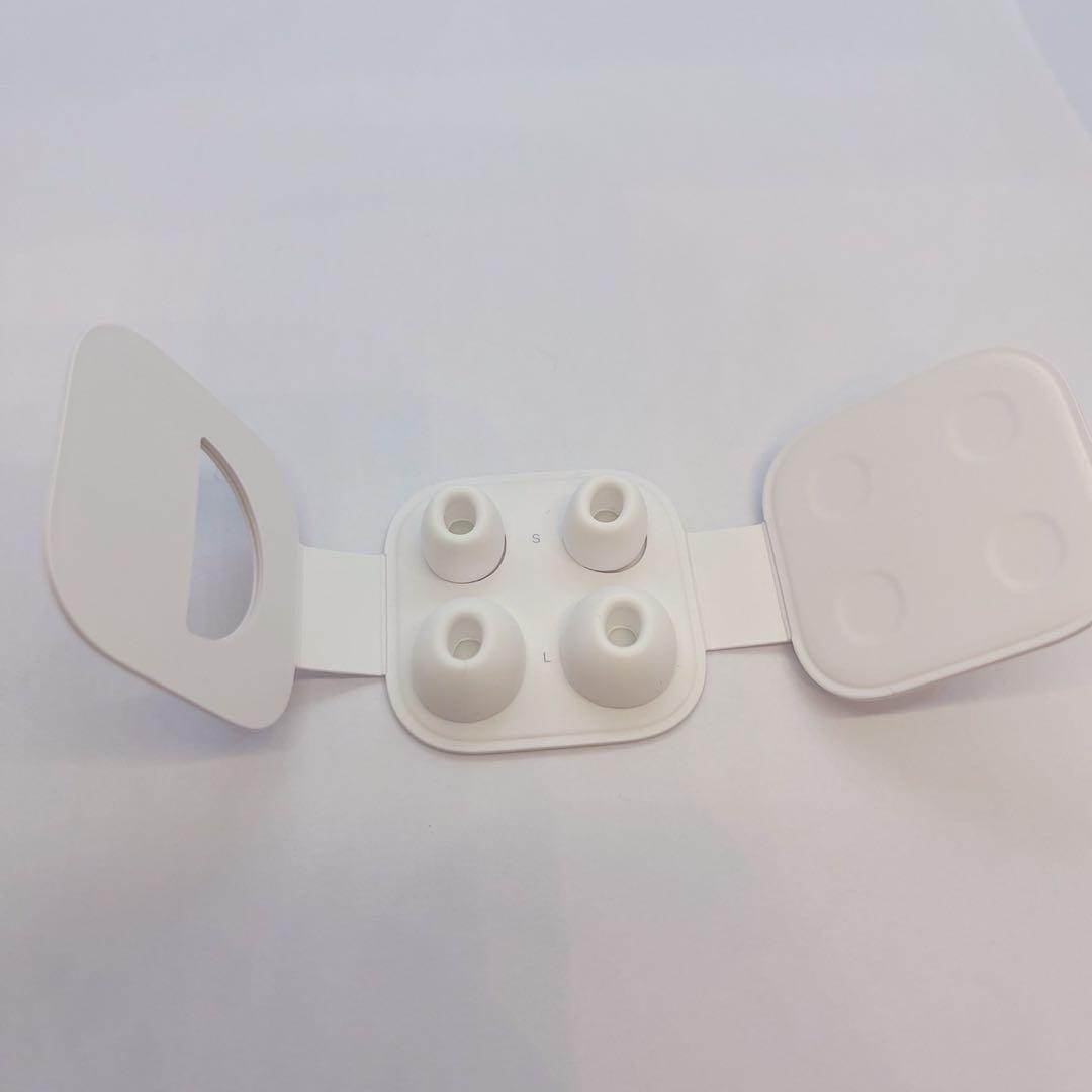 AirPods Pro 第1世代｜箱・取説あり｜イヤーチップS/M/L動作確認済