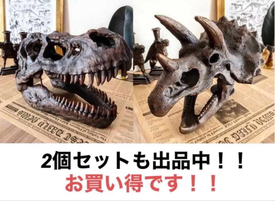 トリケラトプス インテリア オブジェ 雑貨 恐竜の化石 ジュラシックワールド
