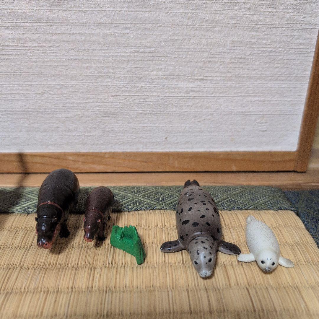 アニア　動物フィギュア　44体