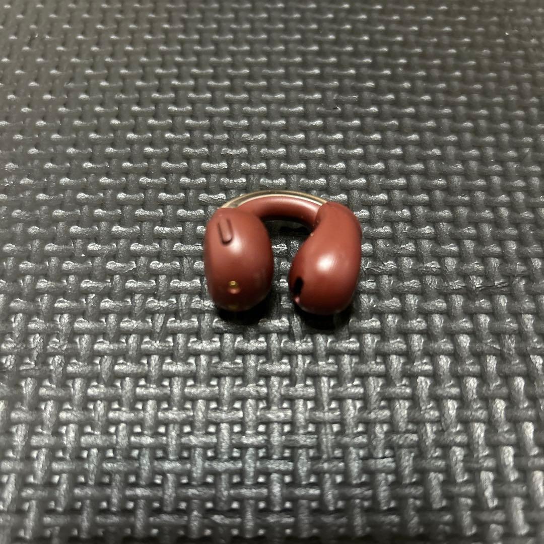 【極美品】Victor HA-NP1T イヤホン マルーン 左耳 片耳 L