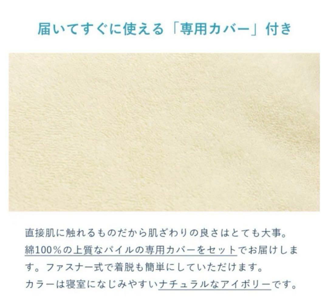 3月18日まで 美品 LOFTY ロフテー 抱き枕 カバー付 エアウィーヴ