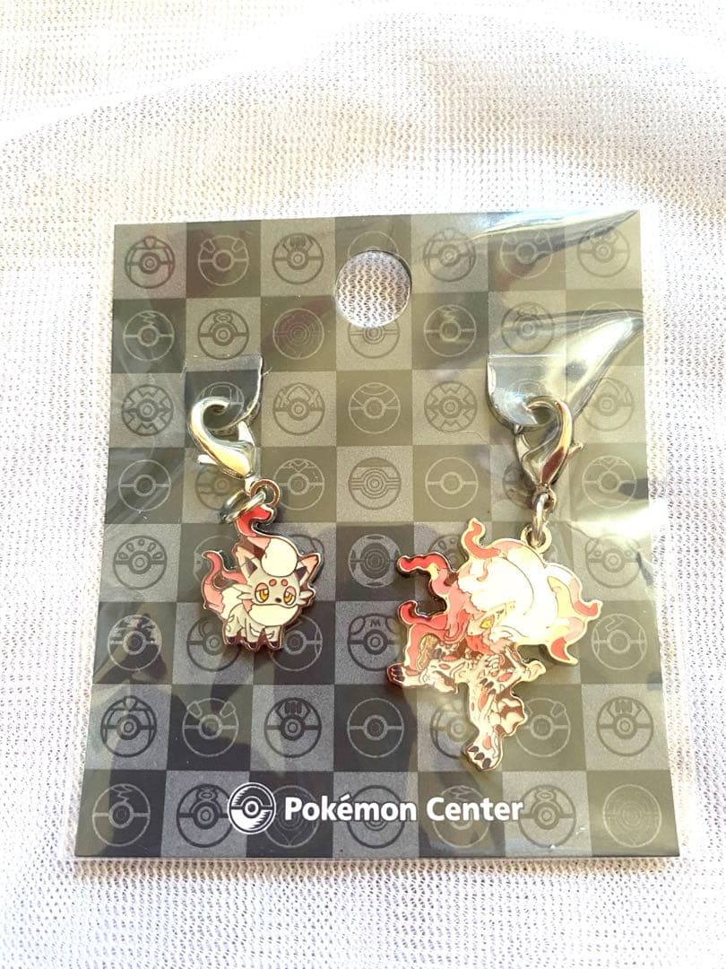 ★ポケモン全国ずかんメタルチャーム