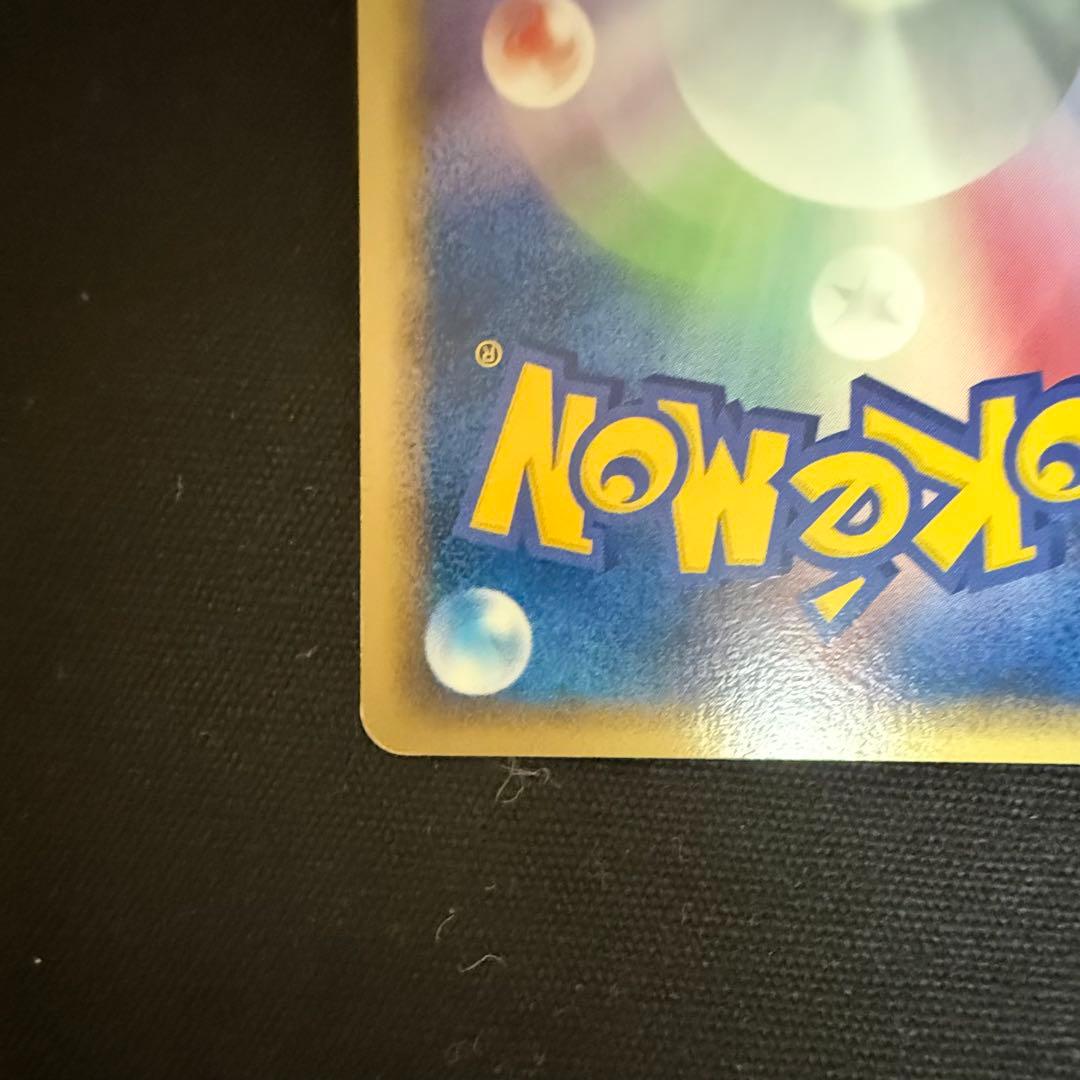 ポケパークのピカチュウ レックウザ