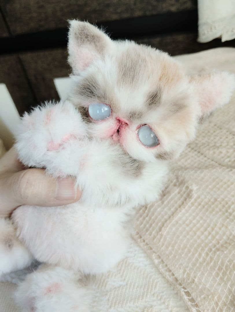 おふぅちゃん❤オーダー❤双子の子猫ちゃん♡アートドール♡ぬいぐるみ♡