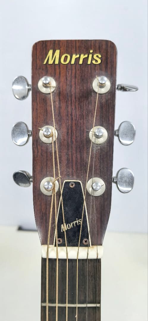 Morris W-15 アコースティックギター