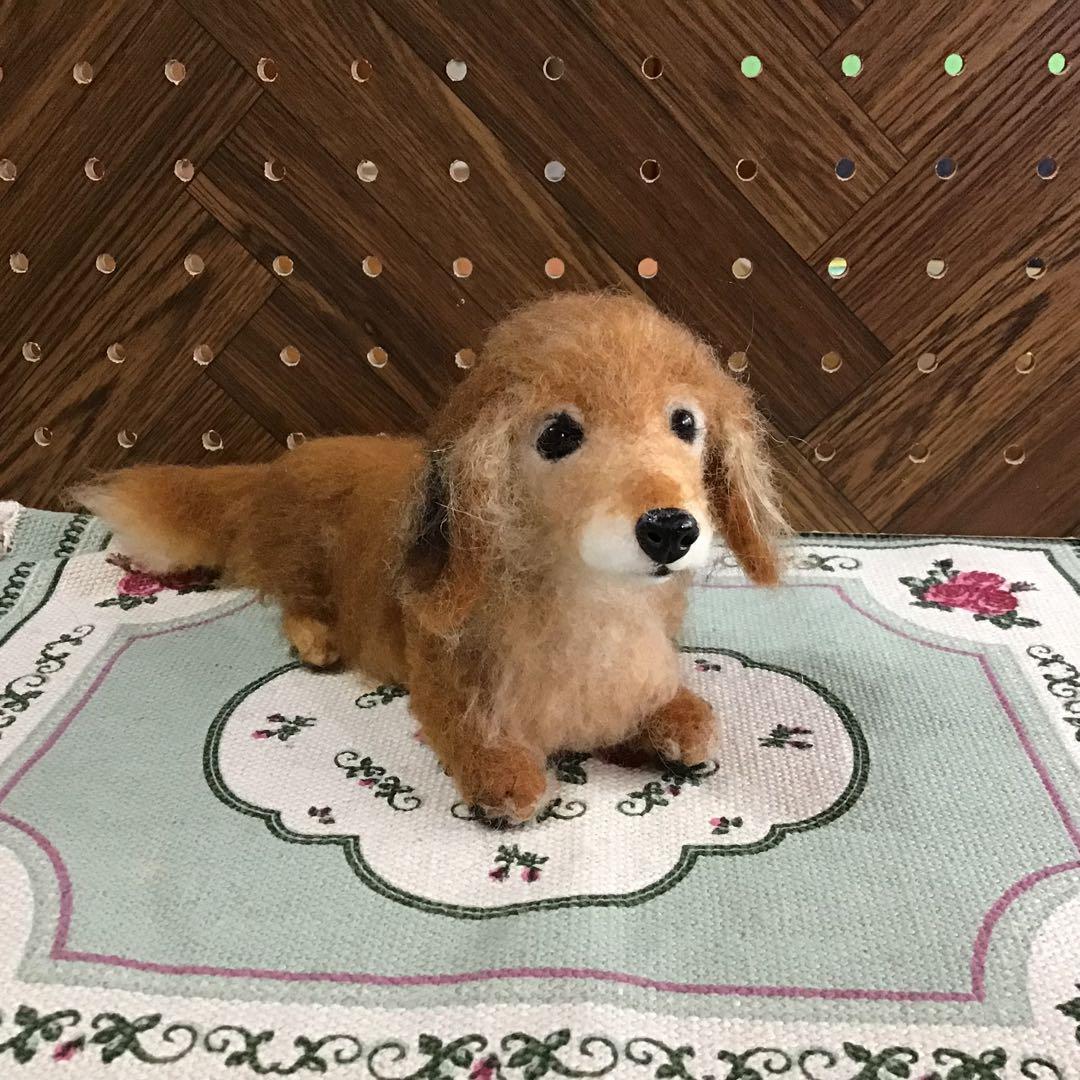 ミニチュアダックス（オーダー品）
