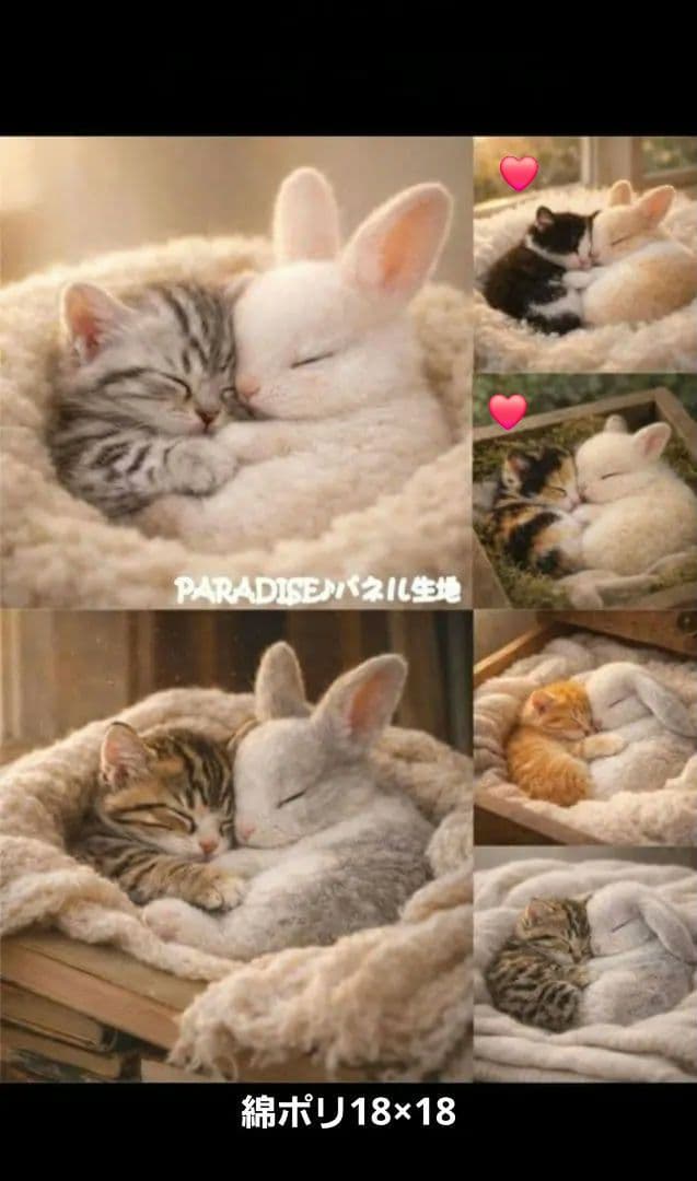 チロスケ様確認用