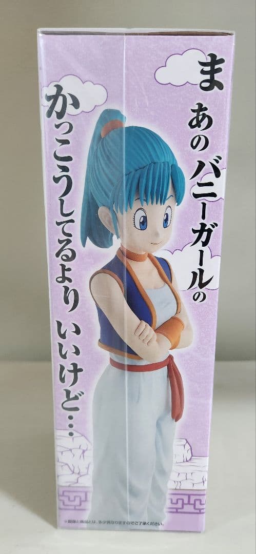 ドラゴンボール EX 一番くじ 孫悟空修行編 ブルマ 亀仙人 フィギュア