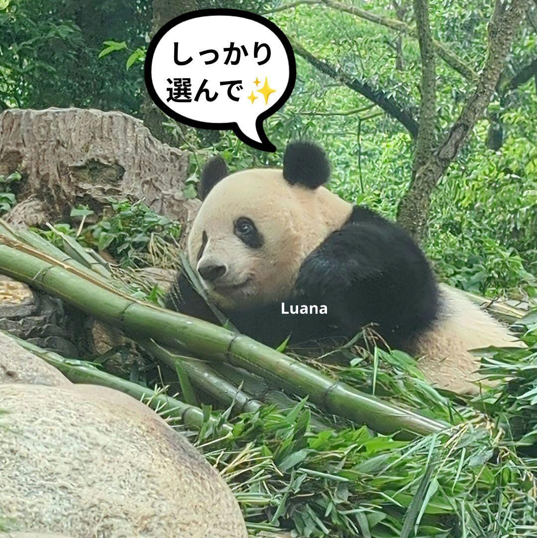 営業再開いたしました(*˘︶˘*).。.:*♡