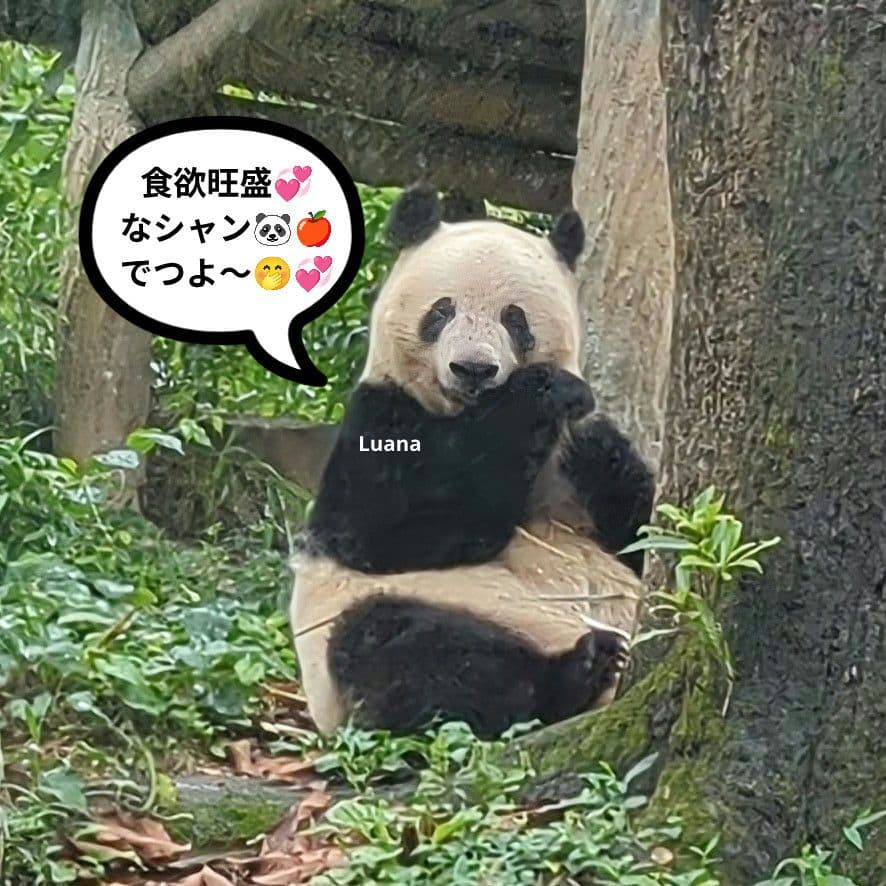 営業再開いたしました(*˘︶˘*).。.:*♡
