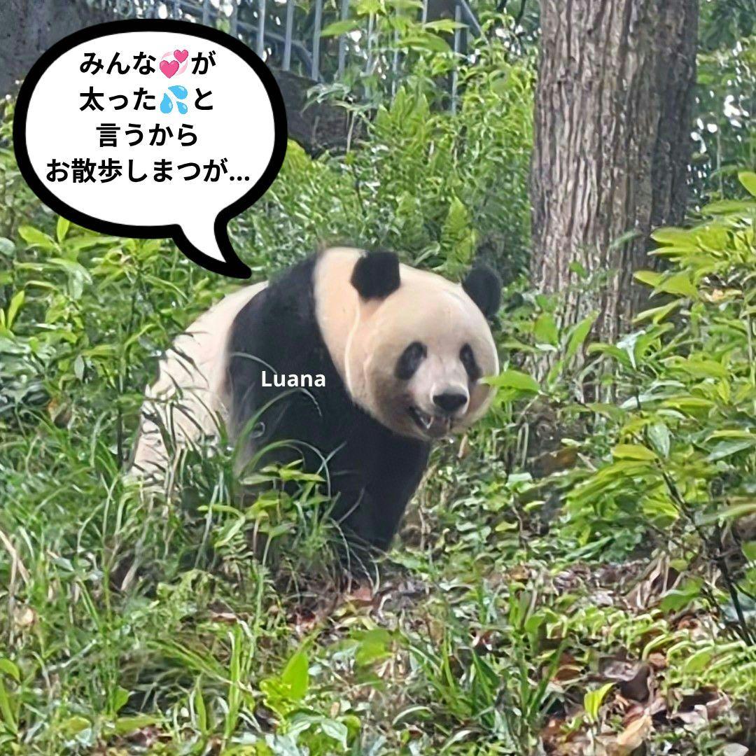 営業再開いたしました(*˘︶˘*).。.:*♡