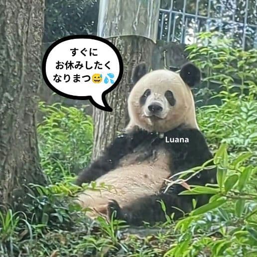 営業再開いたしました(*˘︶˘*).。.:*♡