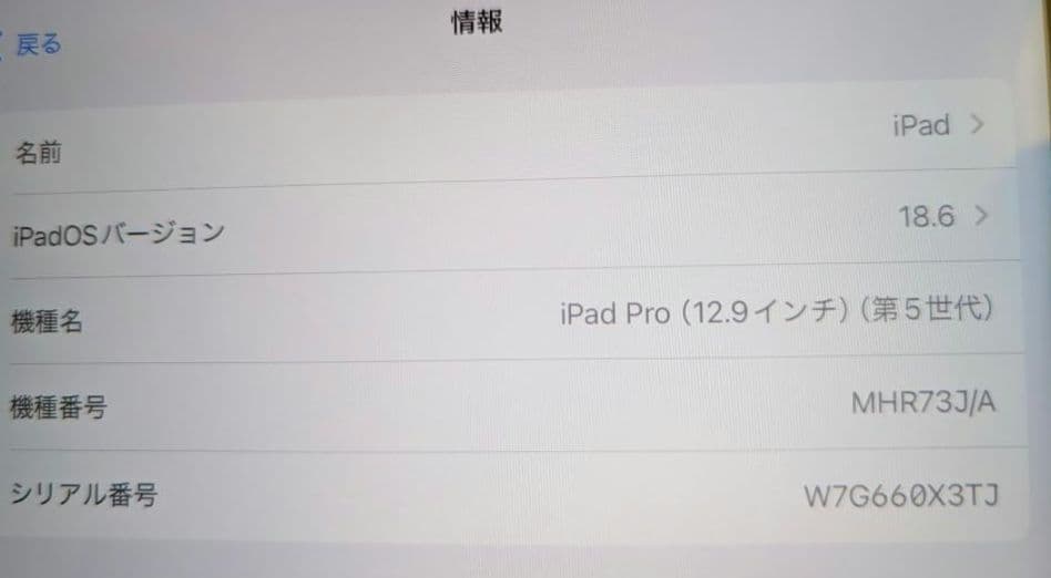美品 iPadPro 12.9 第5世代256GB セルラー バッテリー94%