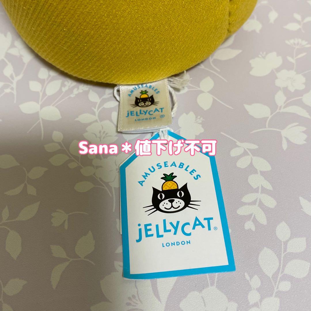 新品　ジェリーキャット　デイジー　花　観葉植物　インテリア　雛菊　ヒナギク