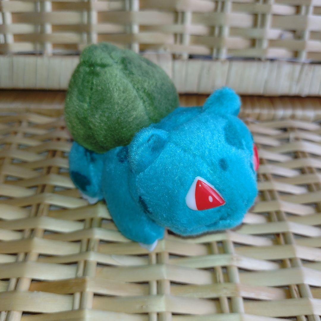 ポケモン ぬいぐるみ　７体