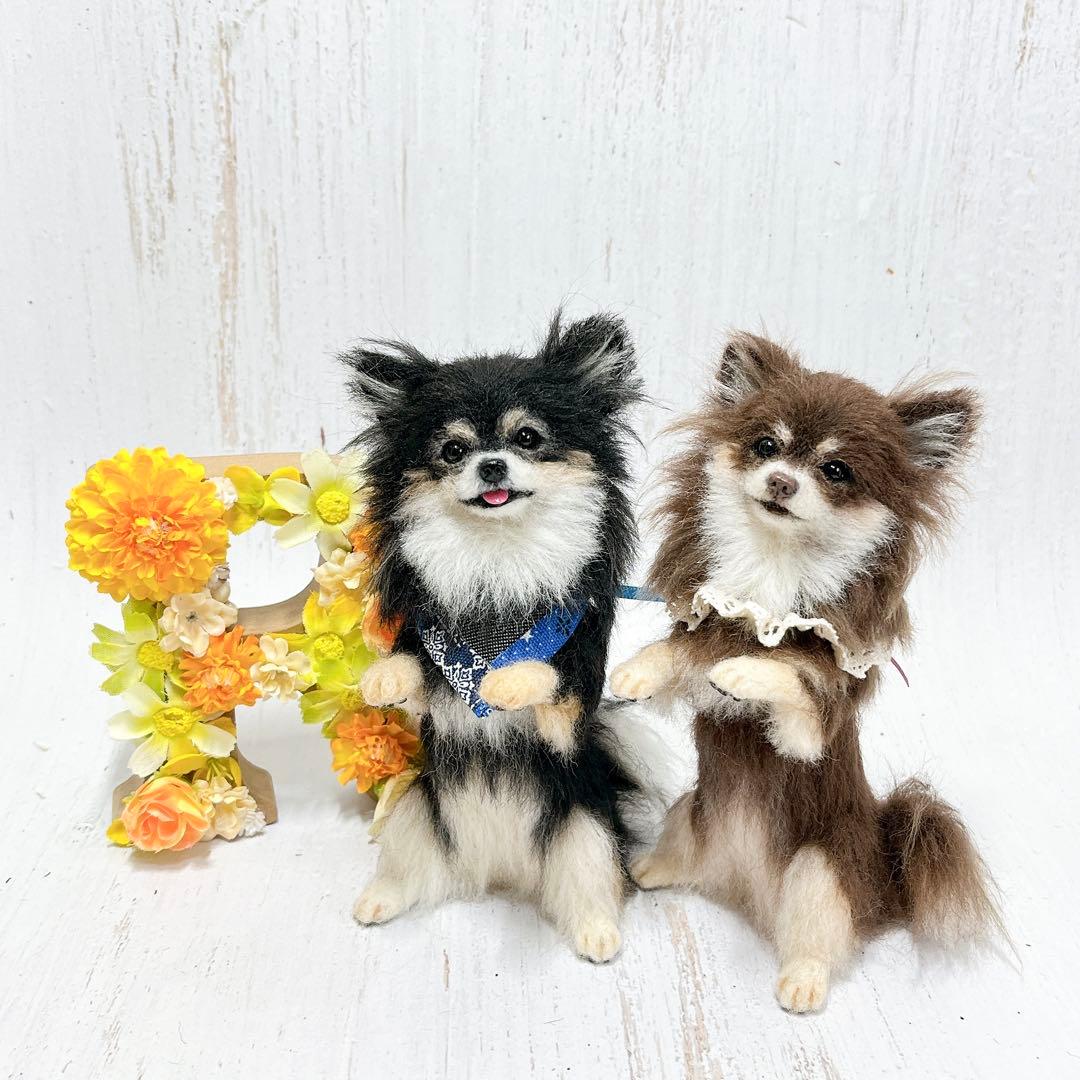 ame 羊毛フェルト 犬 チワワ チョコタンちゃん
