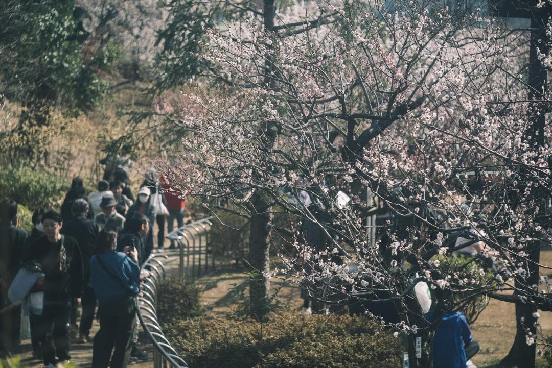 taka様Leica Elmar M 90mm F4 沈胴 オールドレンズ