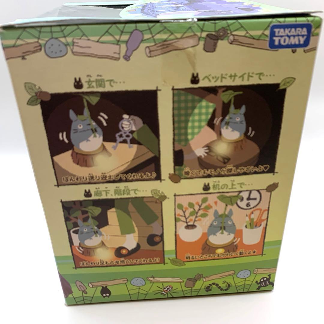 となりのトトロ　どんどこおどり　激レア