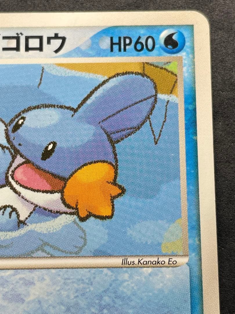 ポケパークのミズゴロウ 003/009 プレミアムファイル ミズゴロウ