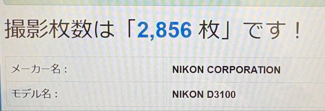 ✨美品✨Nikon D3100✨ダブルレンズ✨少シャッター✨桜や野鳥撮影も✨