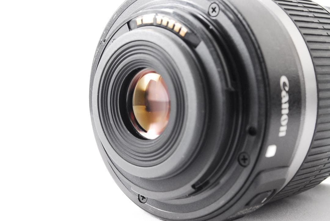 美品⭐️Canon EOS 80D レンズセット 高速連写 Wi-Fi スマホ転送