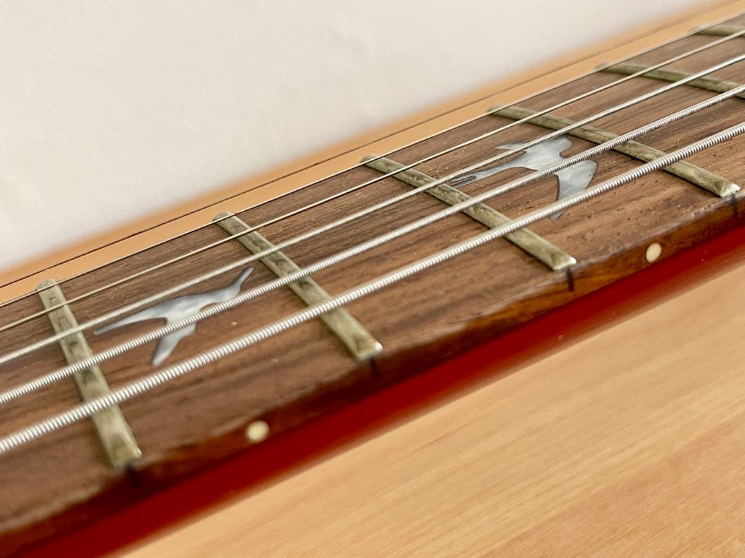 PRS(Paul Reed Smith) ポールリードスミス SE エレキギター