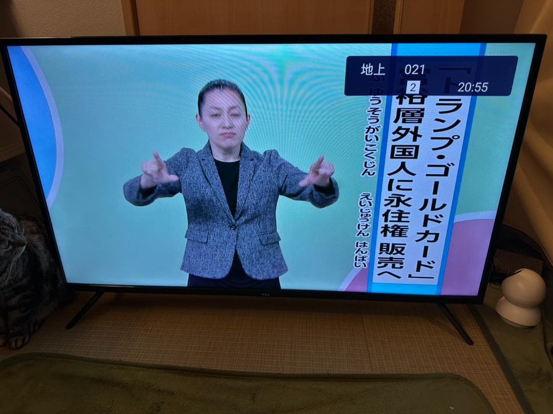 TCL 40S516 スマートテレビ　40型　アプリ内蔵式 23年製　超極美品