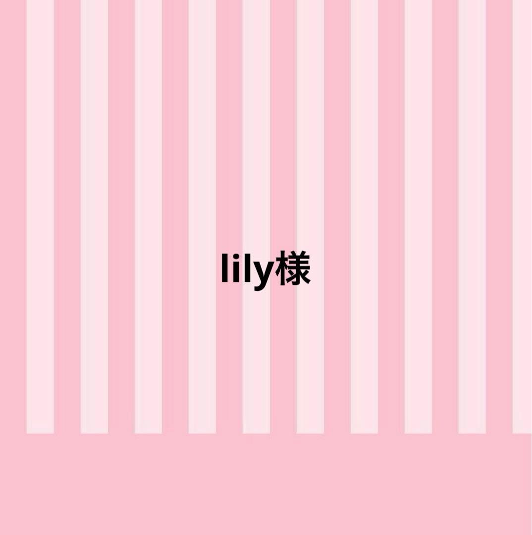 lily様　 お手元に届くのは4月入ってからとなります。