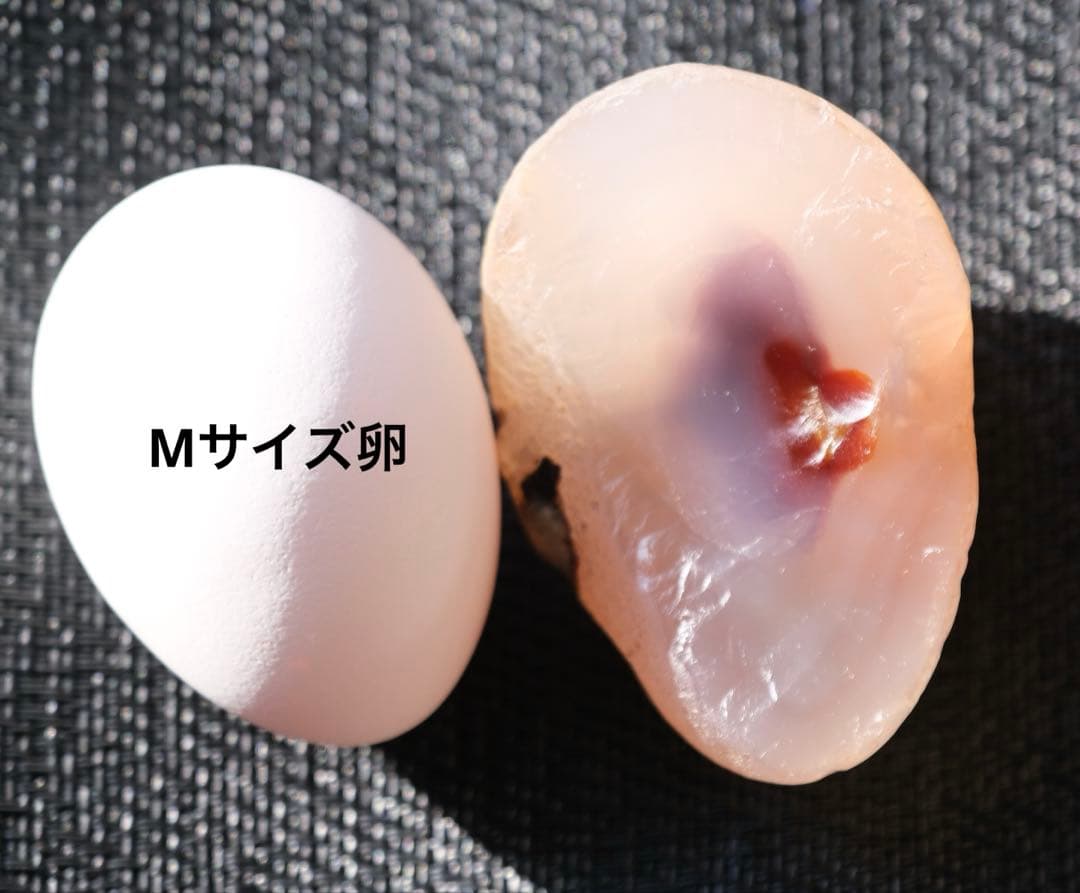 ゴビ石−1461 ゴビ瑪瑙　原石　希少なサイズ