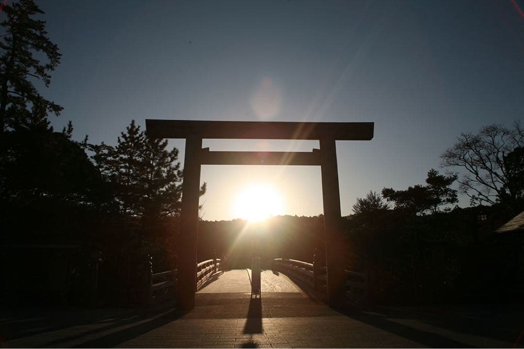 伊勢神宮 神宮御山杉 勾玉 ペンダントトップ 大 お守り 開運 御山杉 正規品