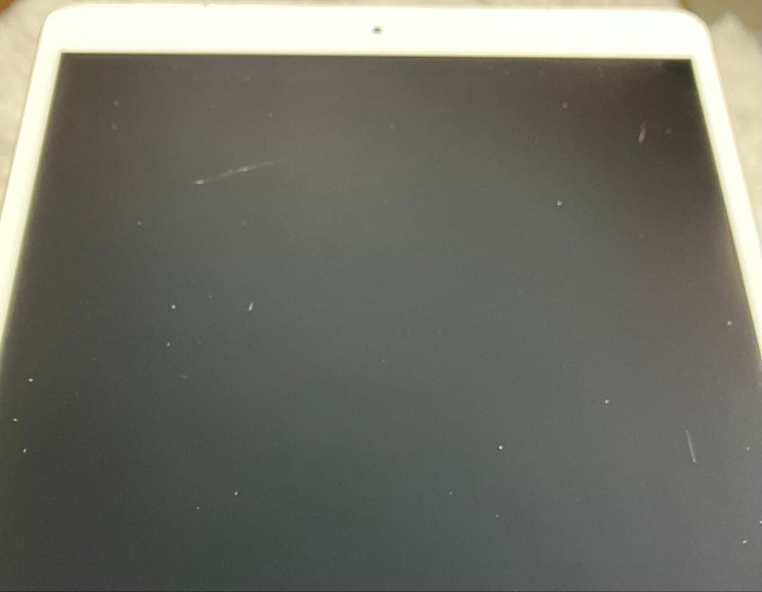【完動品】iPad Pro 10.5 64GB SIMフリー 【付属品】