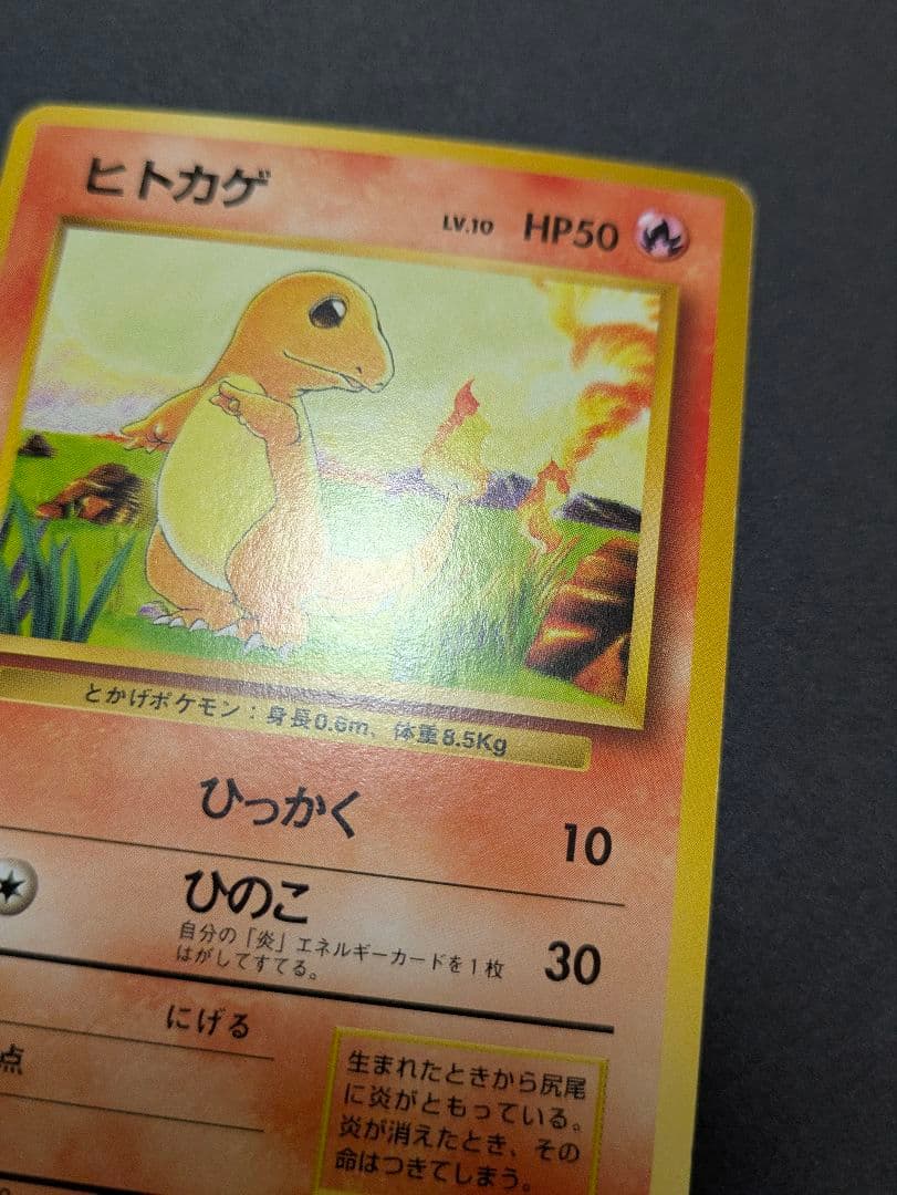 ポケカ 旧裏 御三家 マーク無し 初版 ノーマルカード