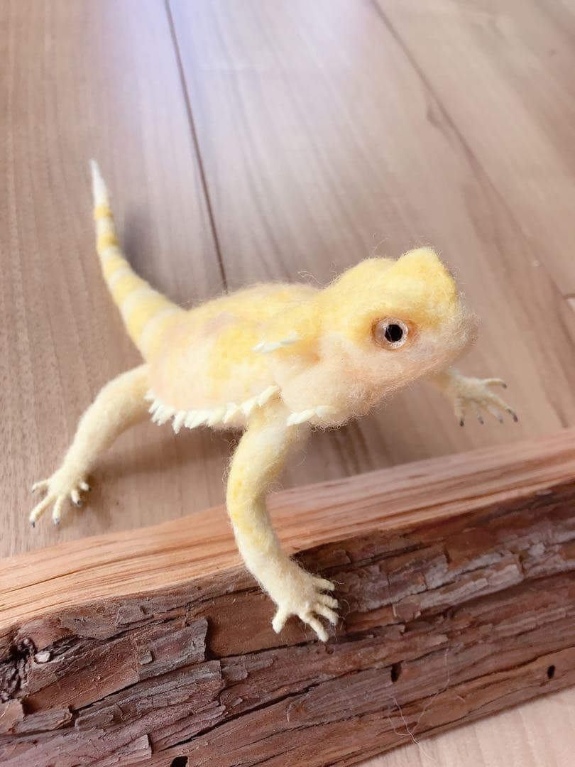 フトアゴヒゲトカゲ　イエロー