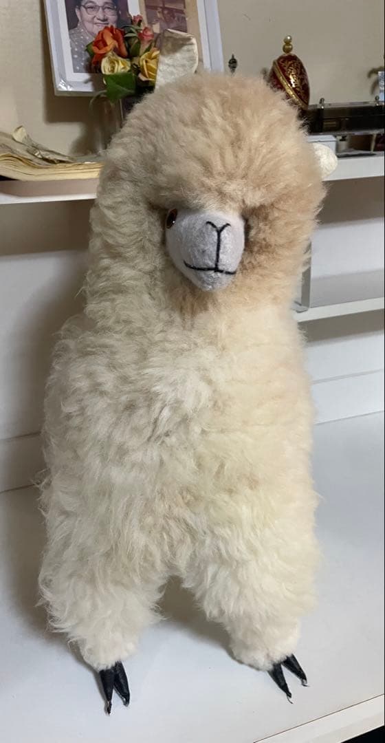 クリームアルパカ ぬいぐるみ アルパカ原毛 ペルー製 60cm ふわふわの毛並