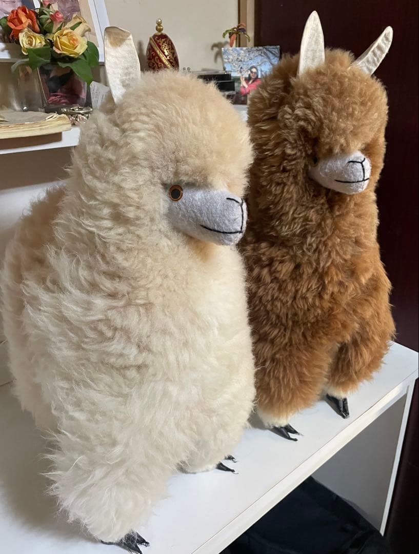 クリームアルパカ ぬいぐるみ アルパカ原毛 ペルー製 60cm ふわふわの毛並