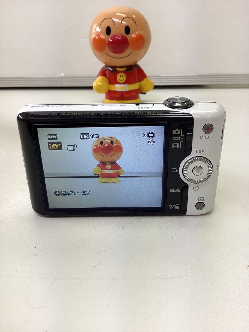 p*1様 SONY Cyber-shot DSC-WX100 撮影可能