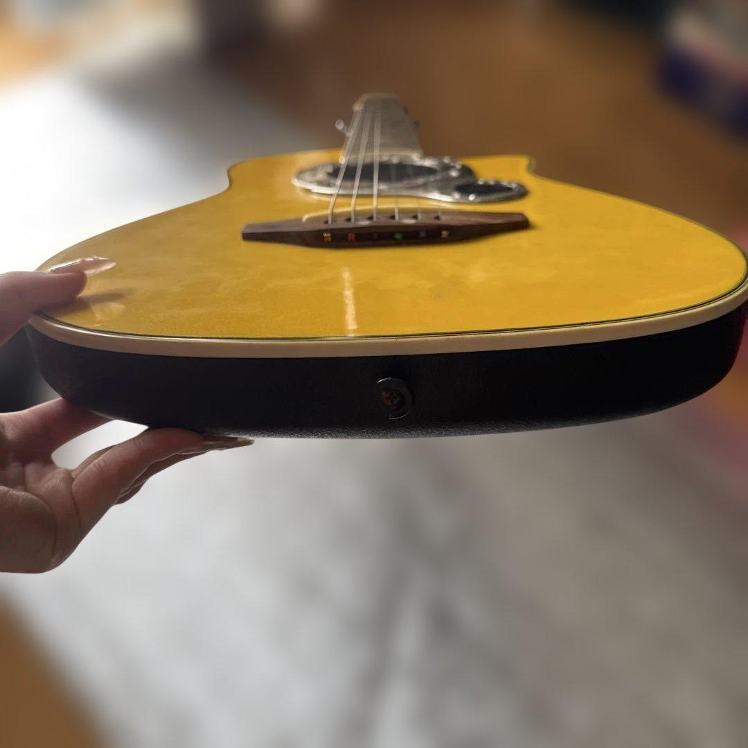 Pro Martin　アンプ内蔵　ヴィンテージ　miniエレアコ