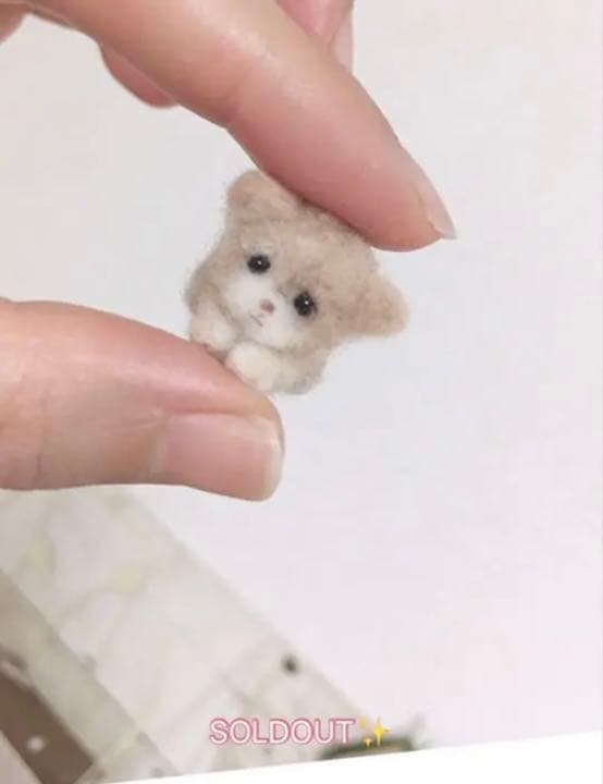 ミニミニトイプーちゃん達✨ご確認用