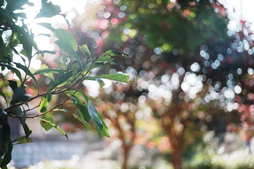 【訳あり】動作◎ SMC PENTAX-M 40mm F2.8 パンケーキ 00